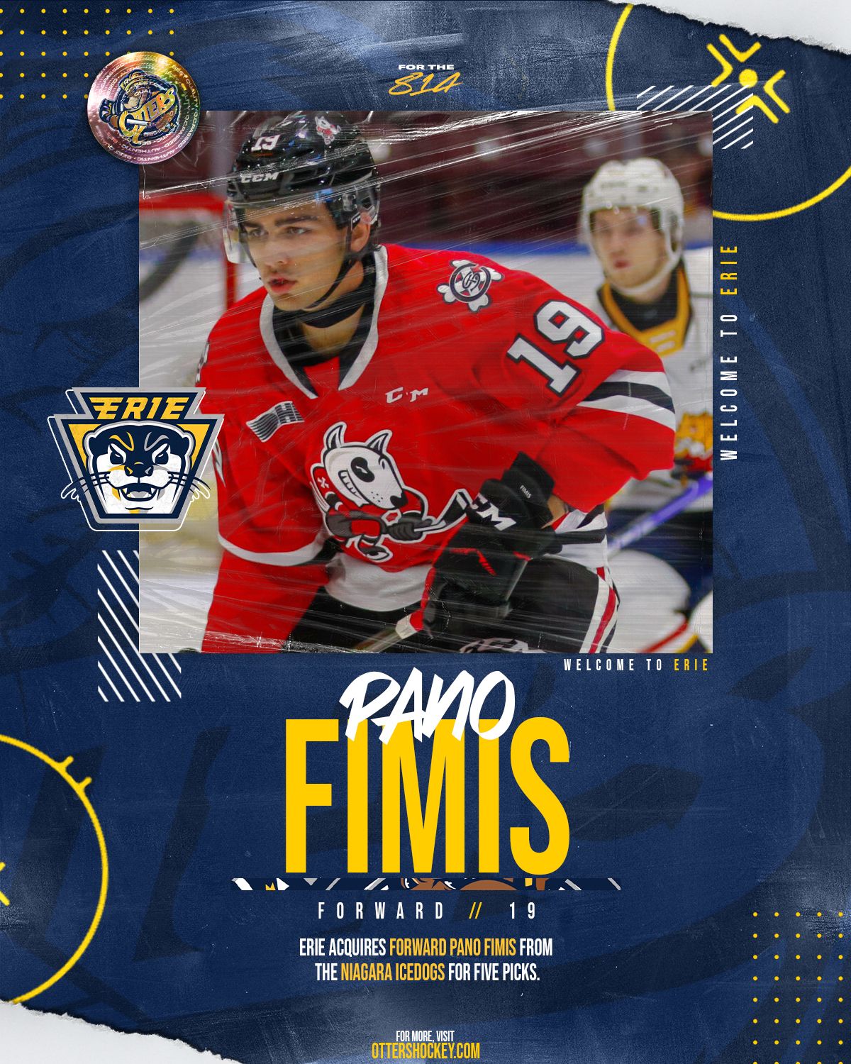 Erie Otters vs. Niagara IceDogs