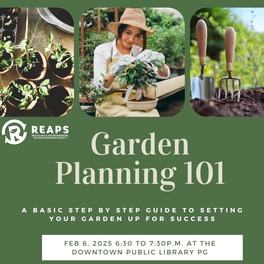 Garden Planning 101 