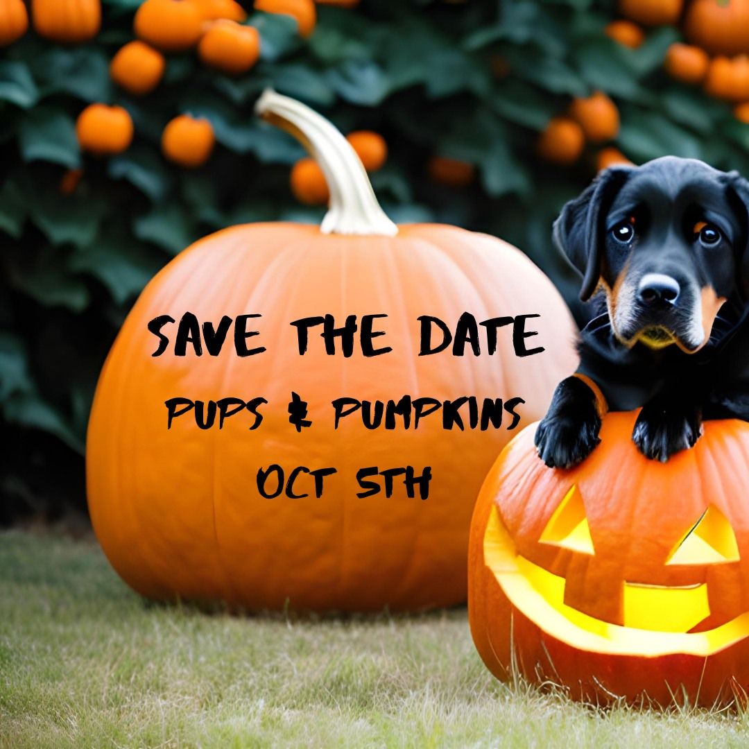 2nd Annual Pups & Pumpkins