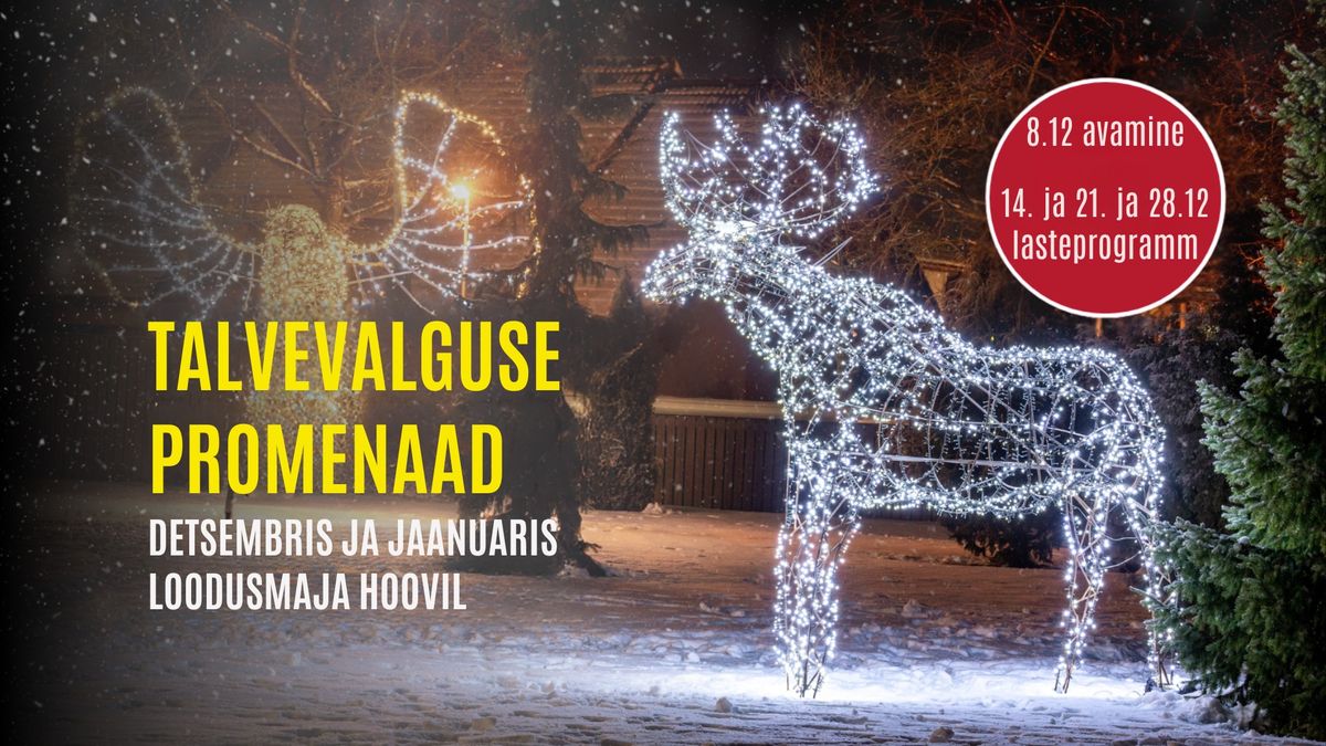 TALVEVALGUSE PROMENAAD 8.12.24 - 31.01.25