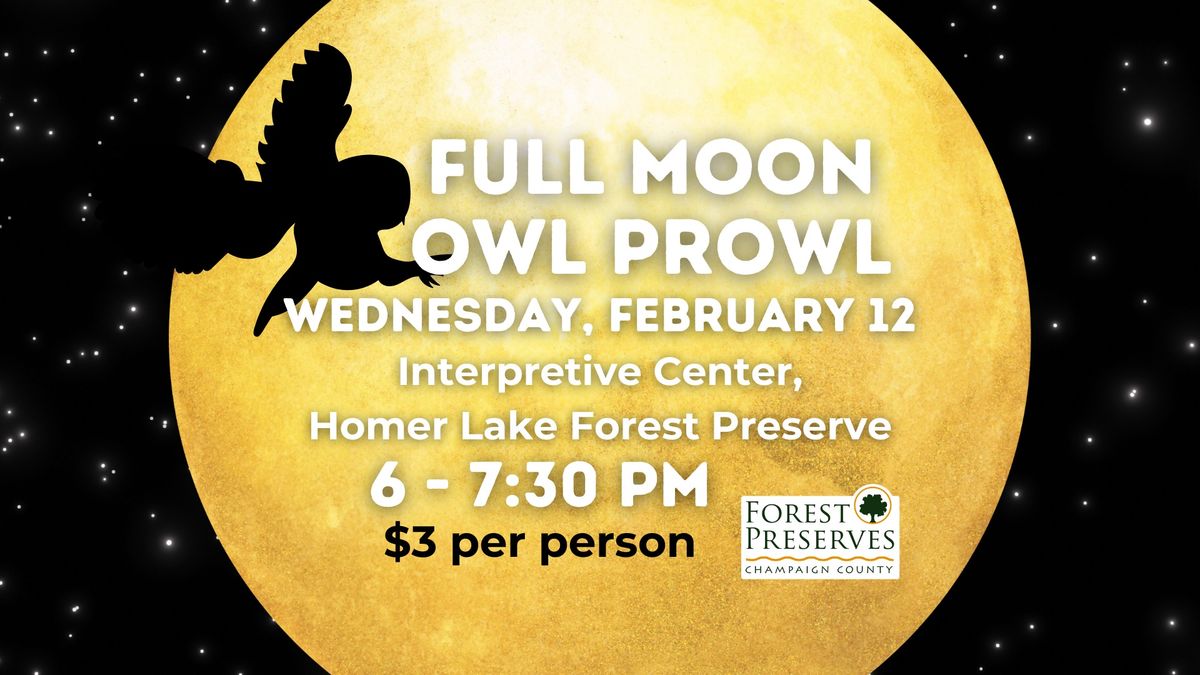 Full Moon Owl Prowl