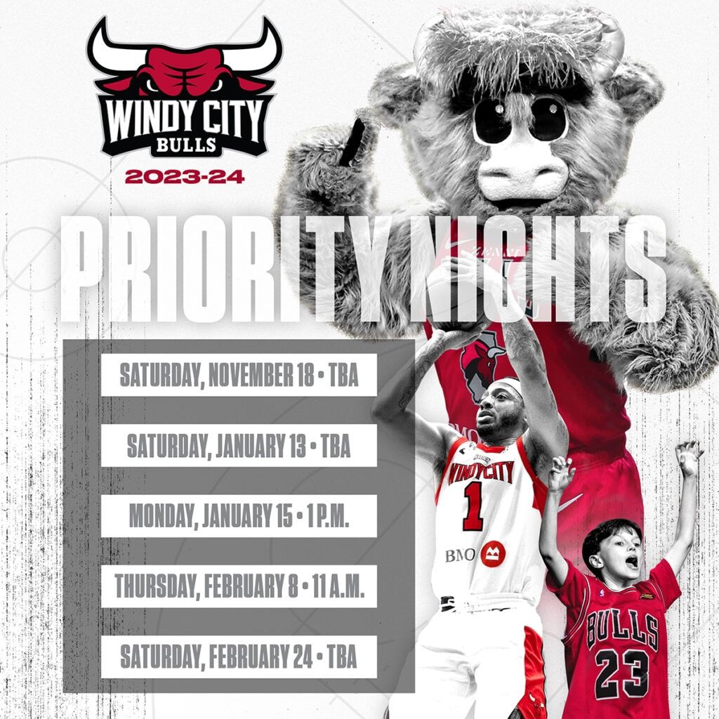Windy City Bulls at Capital City Go-Go at Carefirst Arena