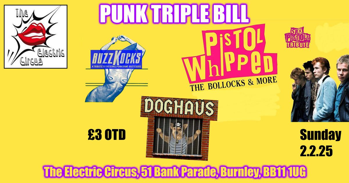 Electric Circus Punk Festival, Burnley .Pistol Whipped, BuzzKocks & DogHa\u00fcs 