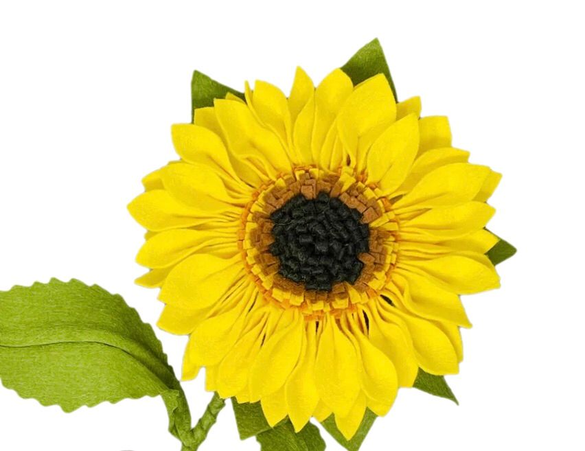 Sunflower Workshop