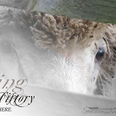 Greenbank Mills & Philips Farm