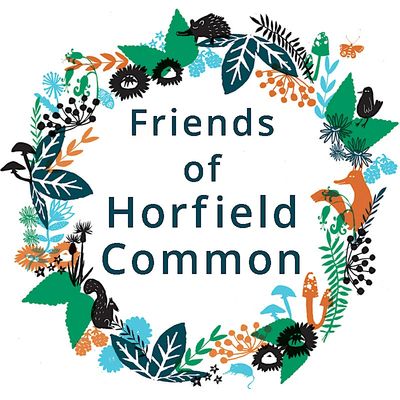 Friends of Horfield Common