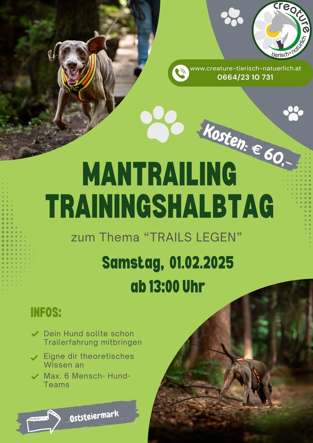 Mantrailing- Trainingshalbtag- AUSGEBUCHT!