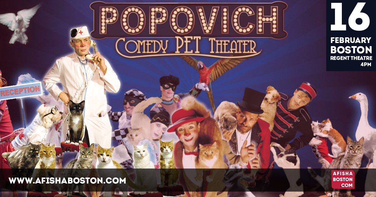 POPOVICH Comedy Pet Theater in Boston