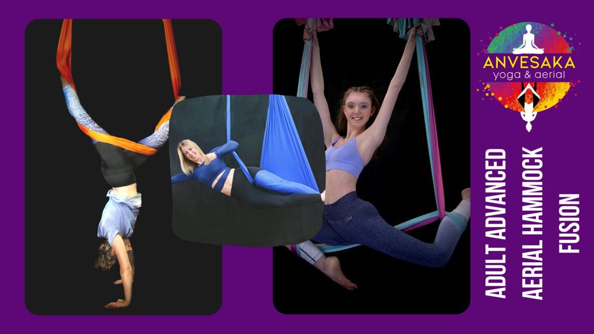 Stockton - Tuesday 7pm Advanced Aerial Hammock Fusion