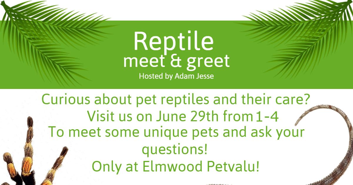 Reptile Meet and Greet! 