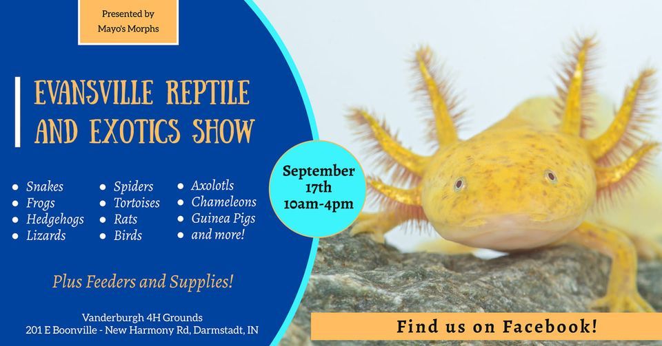 Evansville Reptile and Exotics Show