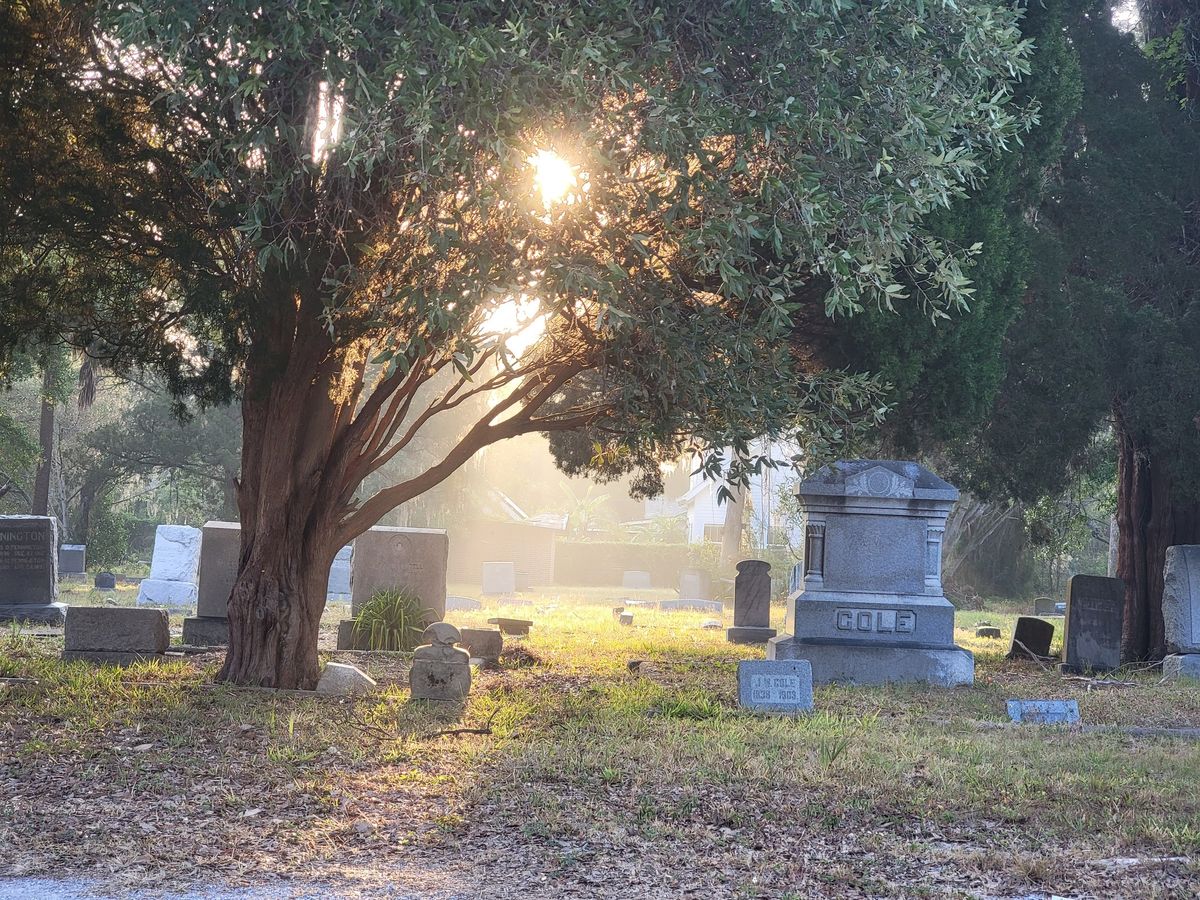 CareFest Cleanup - Greenwood Cemetery and Roser Park 