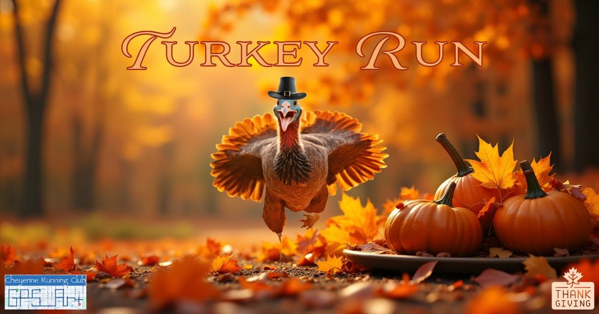 Turkey Run (GPS Art Run)