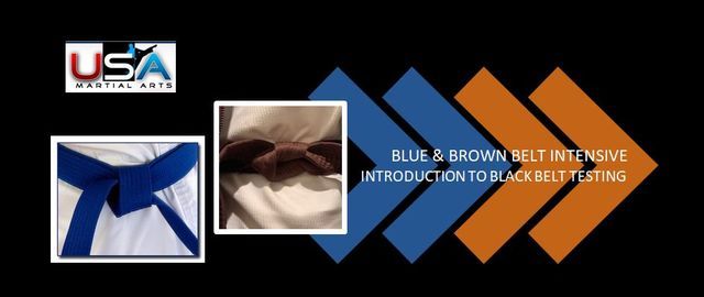 Blue \/ Brown \/ Red Belt Intensive: Intro To Black Belt Testing