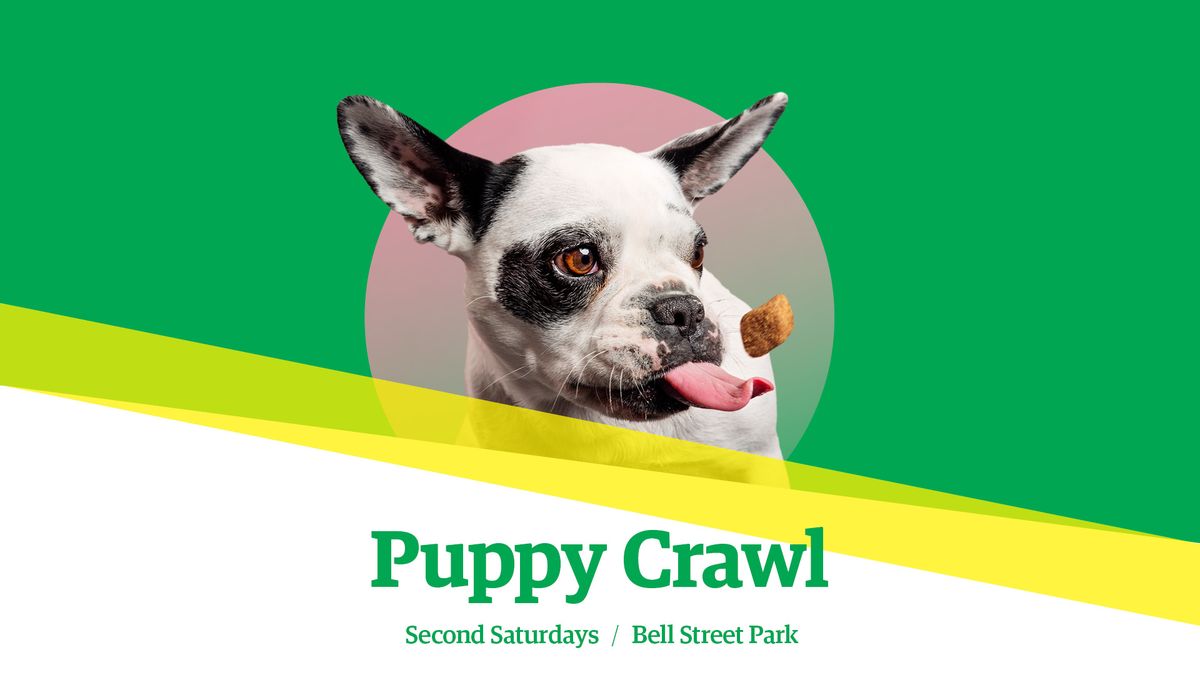 Puppy Crawl at Bell Street Park
