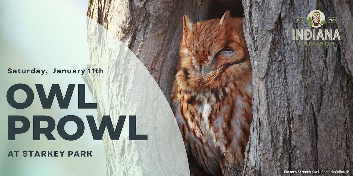 Owl Prowl at Starkey Park