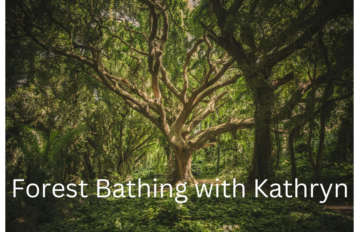 Forest Bathing at Kuitpo with Kathryn