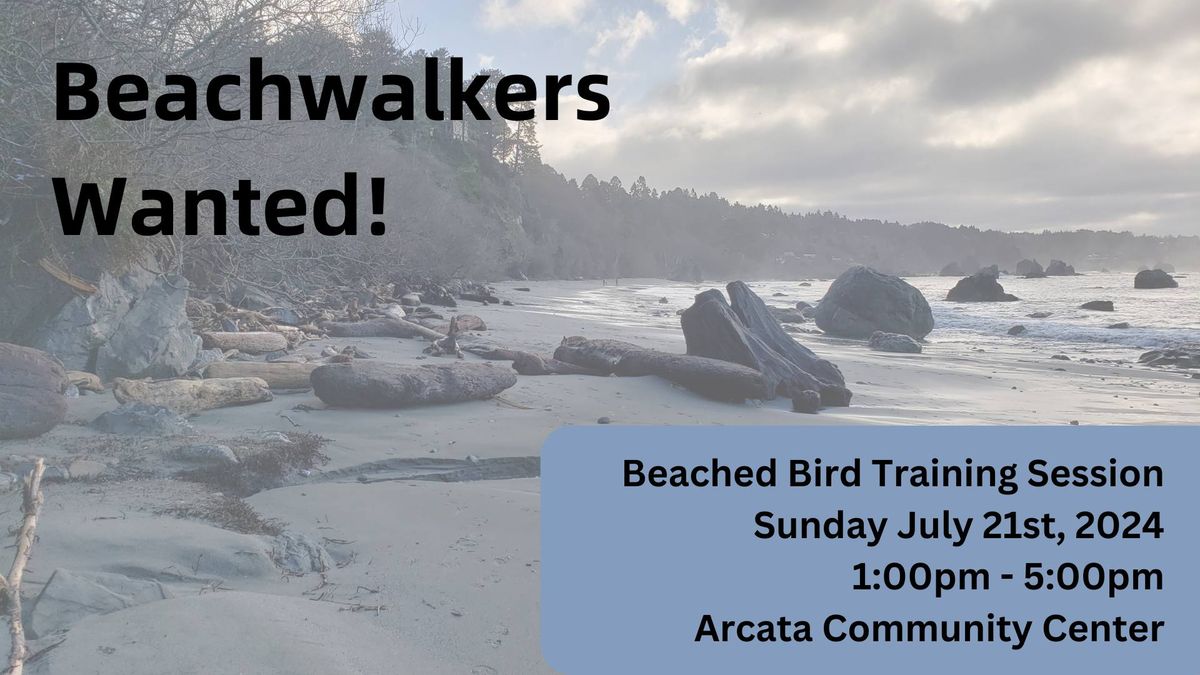 Arcata Beached Bird Training