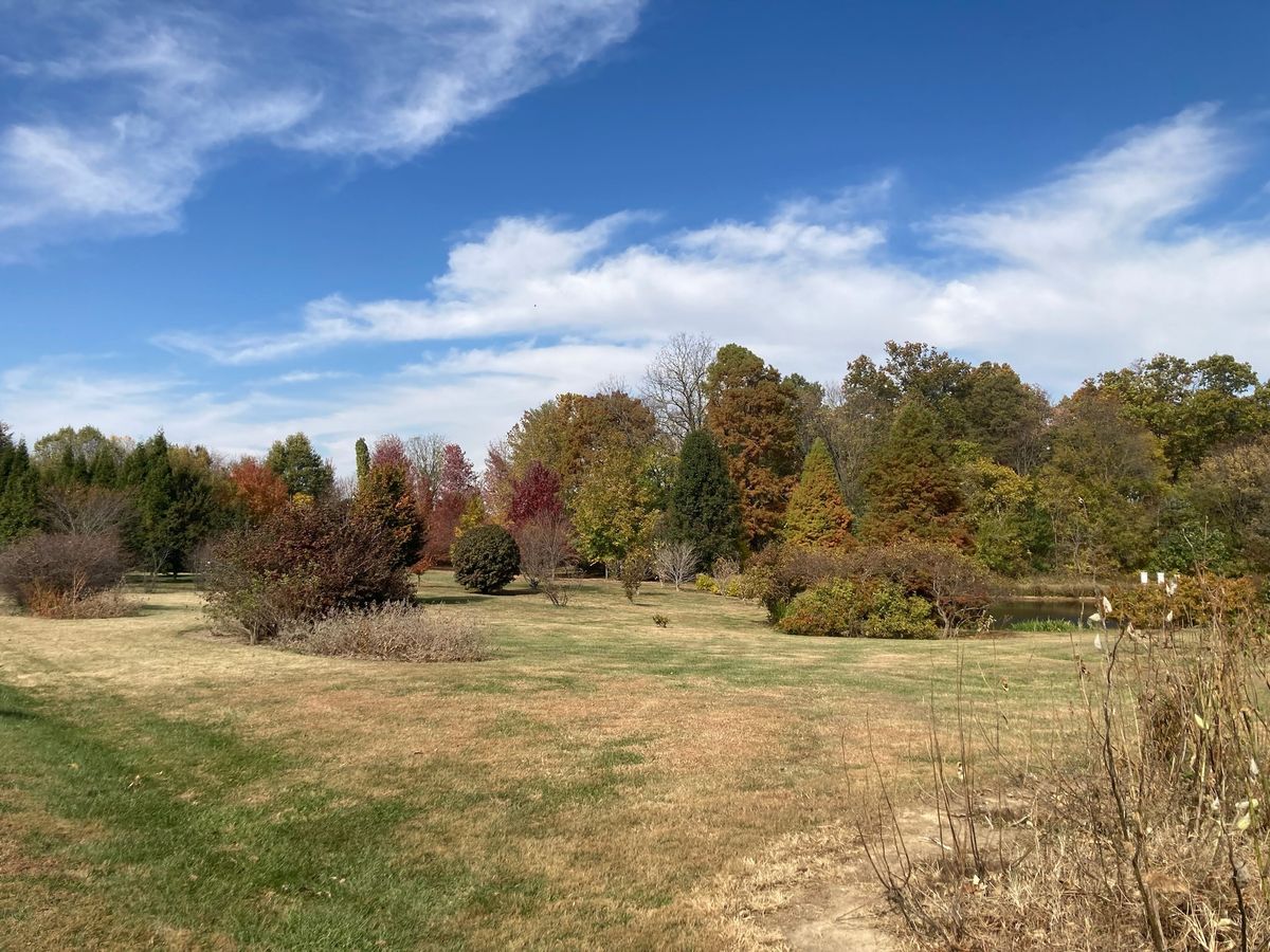 Fall Tree Identification Hike