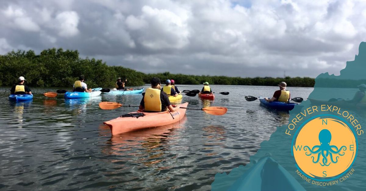 Forever Explorers Kayak Program: Migratory Birds