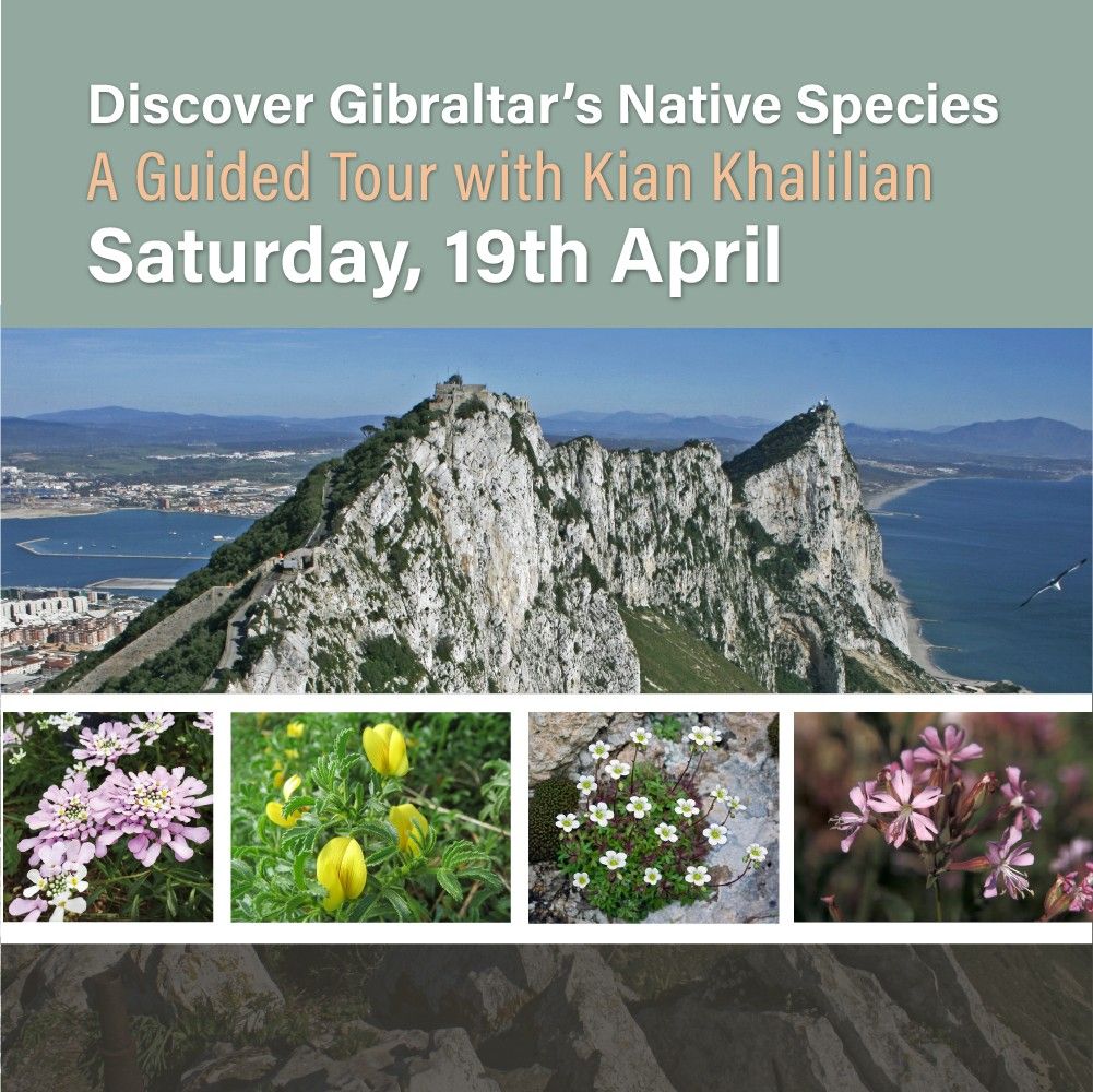 Native Species - A Guided Walk