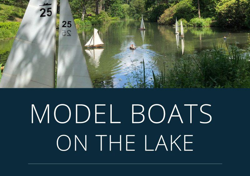 Model Boats on the Lake