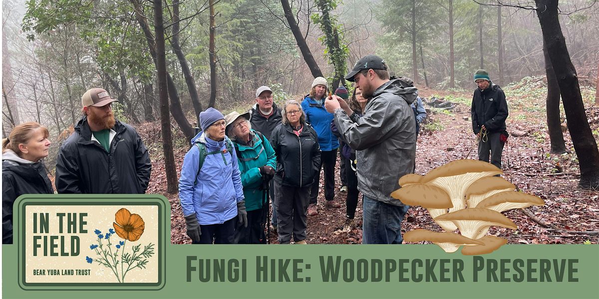 In The Field: Fungi Hike