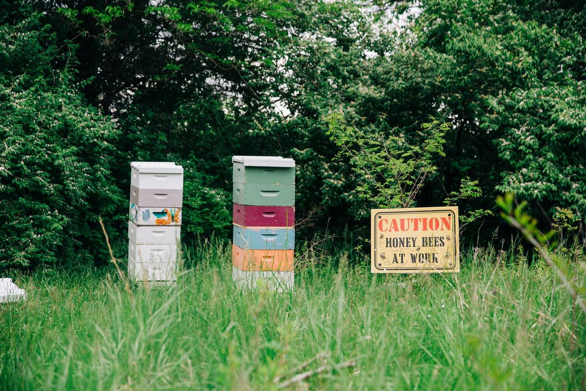 Member Tour: Beekeeping with Lazy Dog Honey