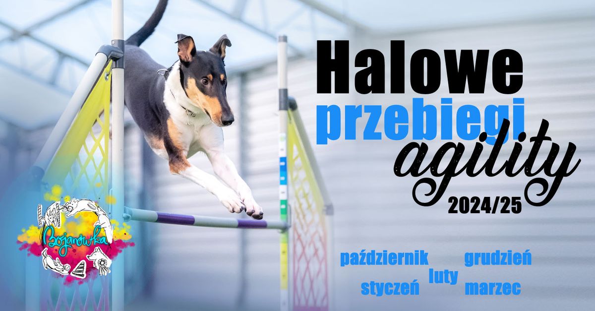 Halowe treningowe przebiegi agility 2024\/25