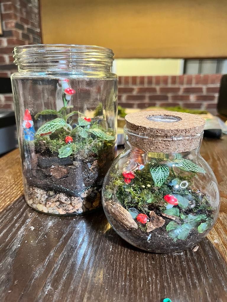 DIY Terrariums (All supplies incl.)