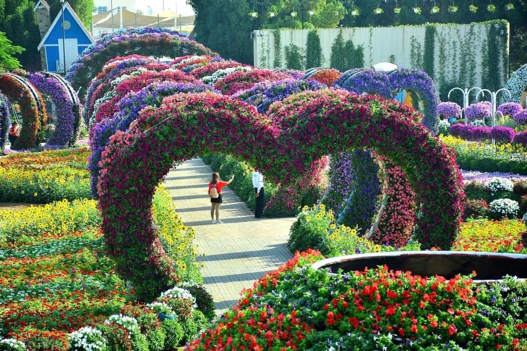 Miracle Garden Tour