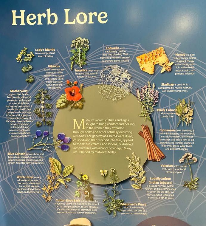 A Midwife's Guide to Healing Herbs