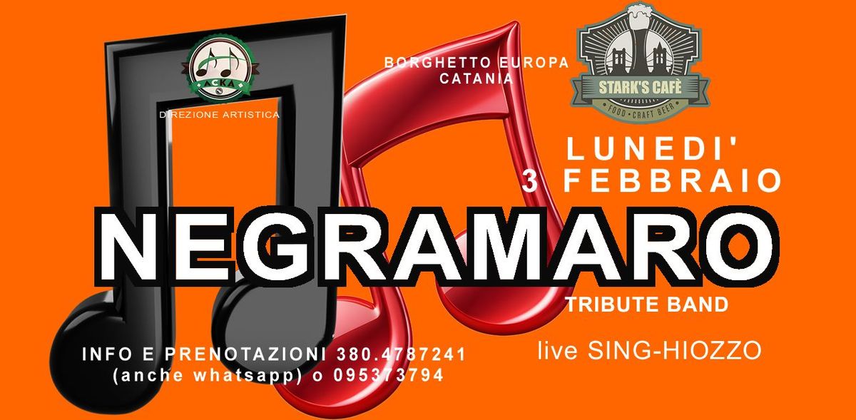 \ud83d\udd34\ud83d\udd33 NEGRAMARO tribute \ud83d\udd33\ud83d\udd34 live Sing-hiozzo \ud83d\udfe7 STARK'S CAFE'