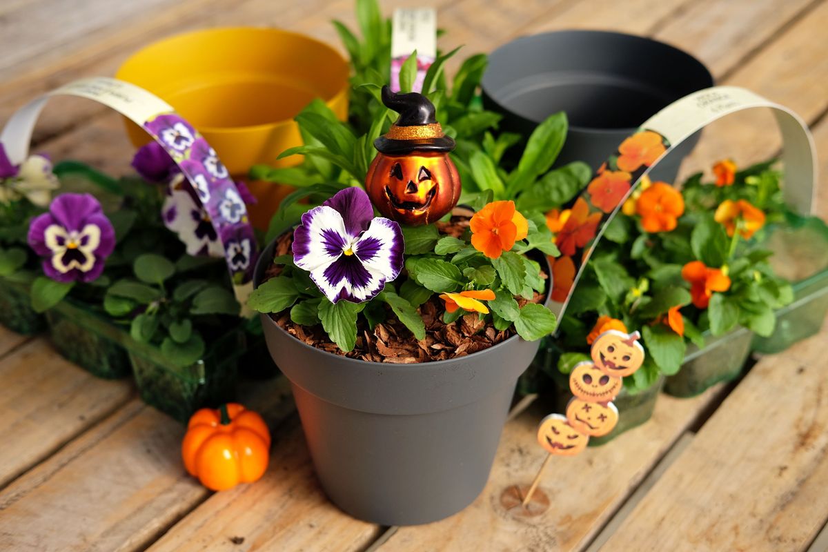 Children's Spooktacular Planter Workshop