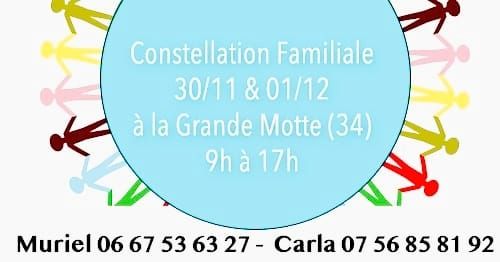 Constellation Familiale et Syst\u00e9mique 