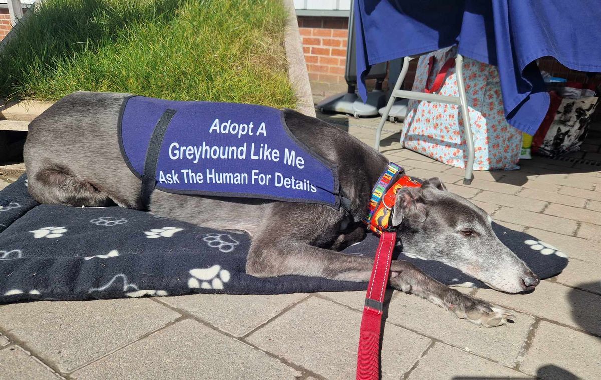 Fundraising\/awareness stall at Avant Garden centre, Leyland