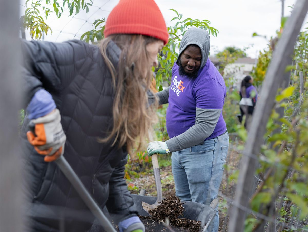 Volunteer day at Garden Dreams