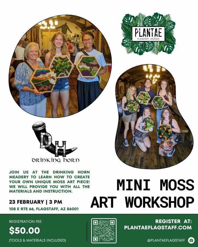 Moss and Mead WOrkshop