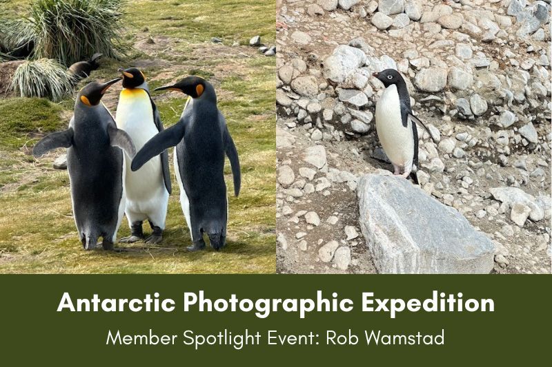 Members Only | Special Event: Antarctic Photographic Expedition