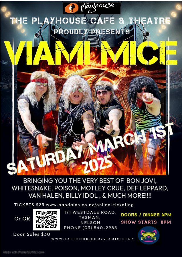 Viami Mice live at The Playhouse March 1st 2025