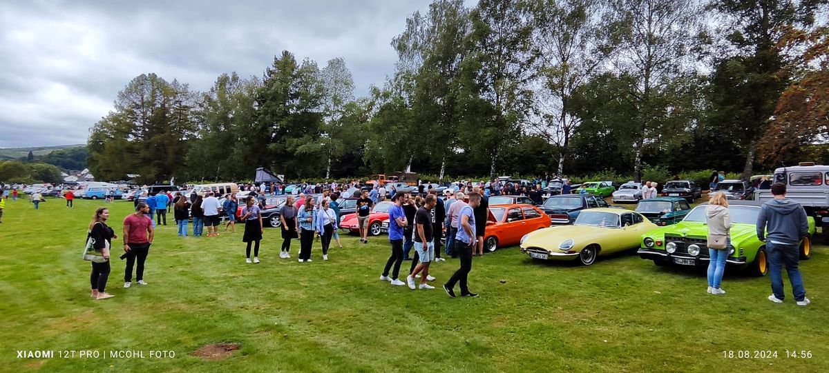 8. Oldtimertreffen am Hammerweiher (Hammerweihertreffen) 