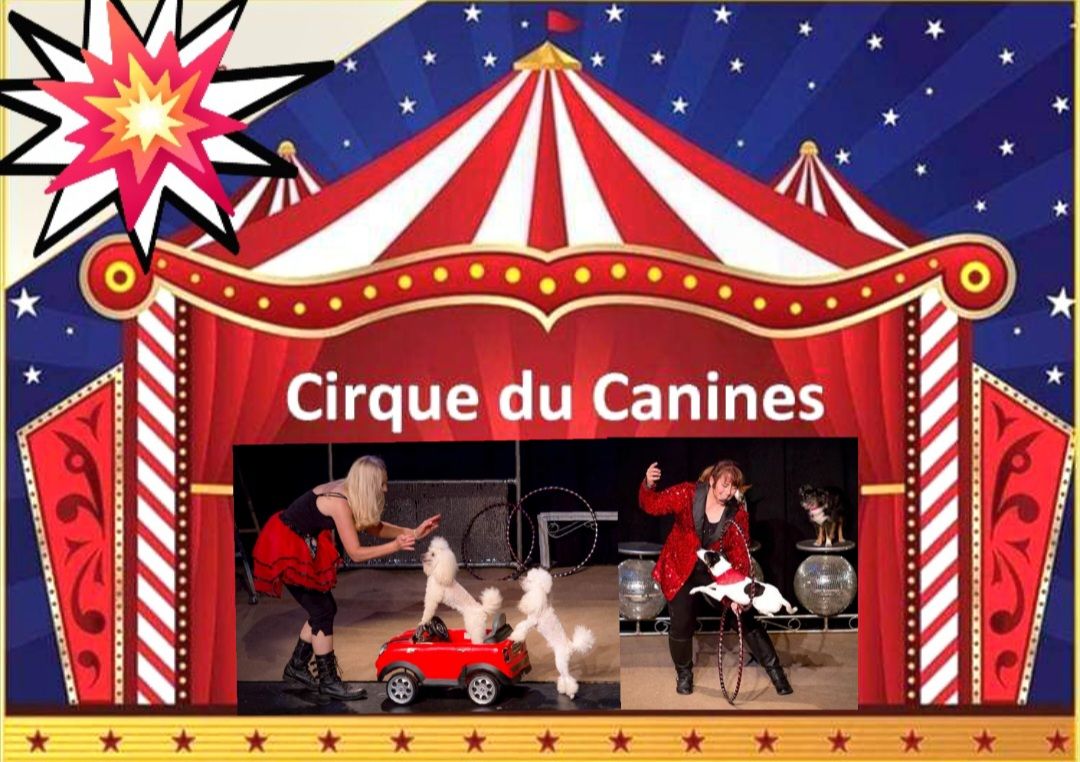 Cirque Du Canines