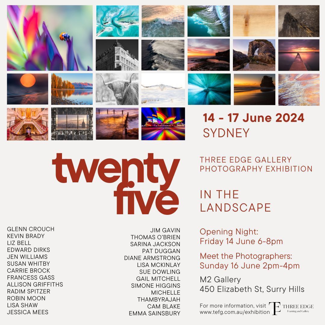 Three Edge ~ Exhibition Opening ~ Twenty five | In the landscape
