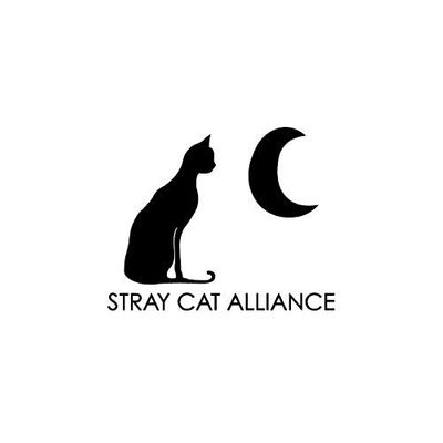 Stray Cat Alliance