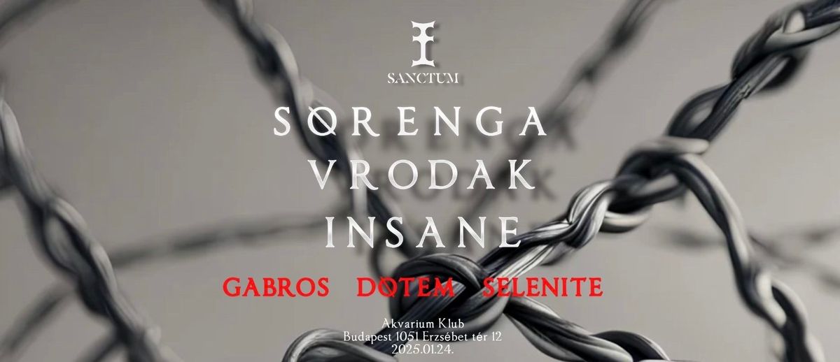 \u2626 SANCTUM | Veni Sancte Spiritus \u2626 S\u00f8renga x Vrodak x Insane