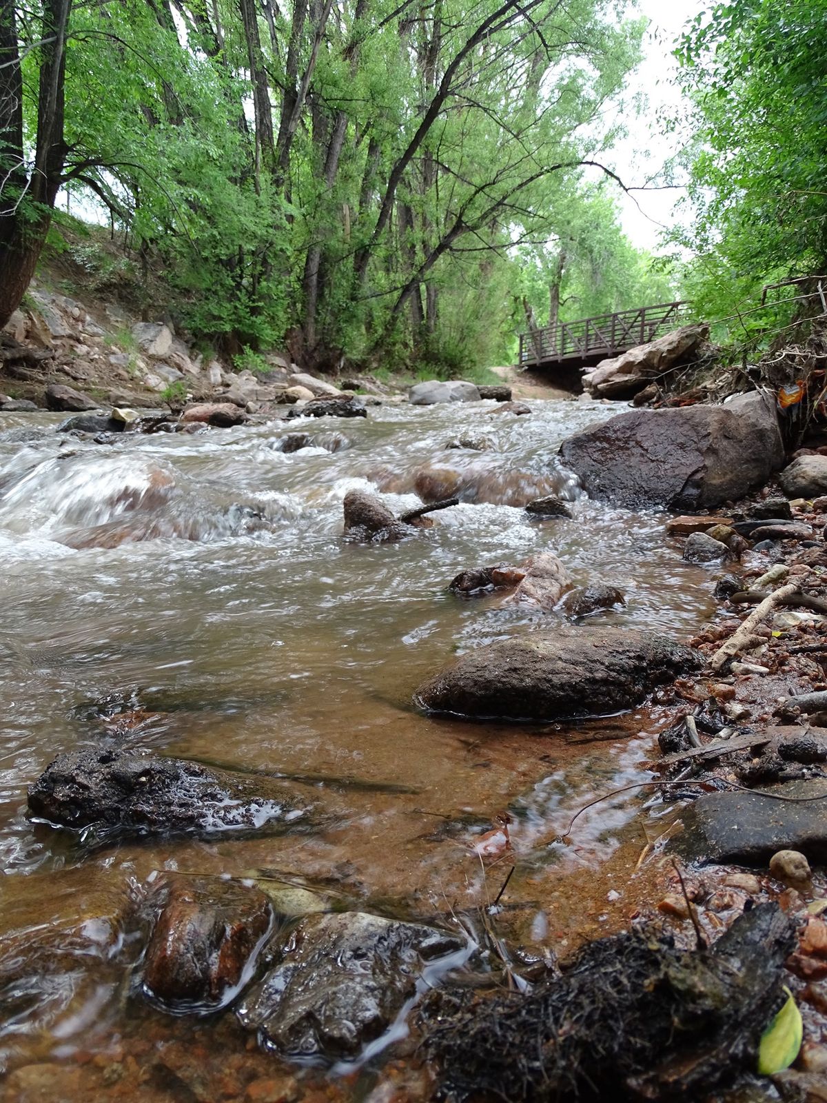 Fountain Creek Clean-up 