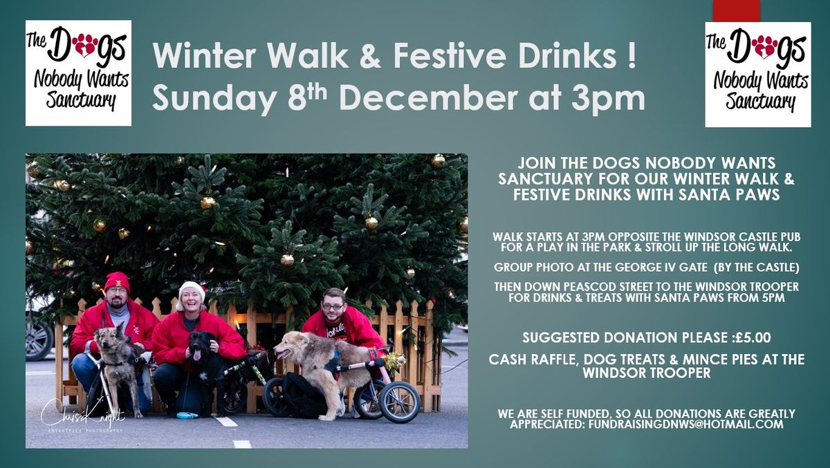 Winter Walk & Festive Drinks with The Dogs Nobody Wants Sanctuary !