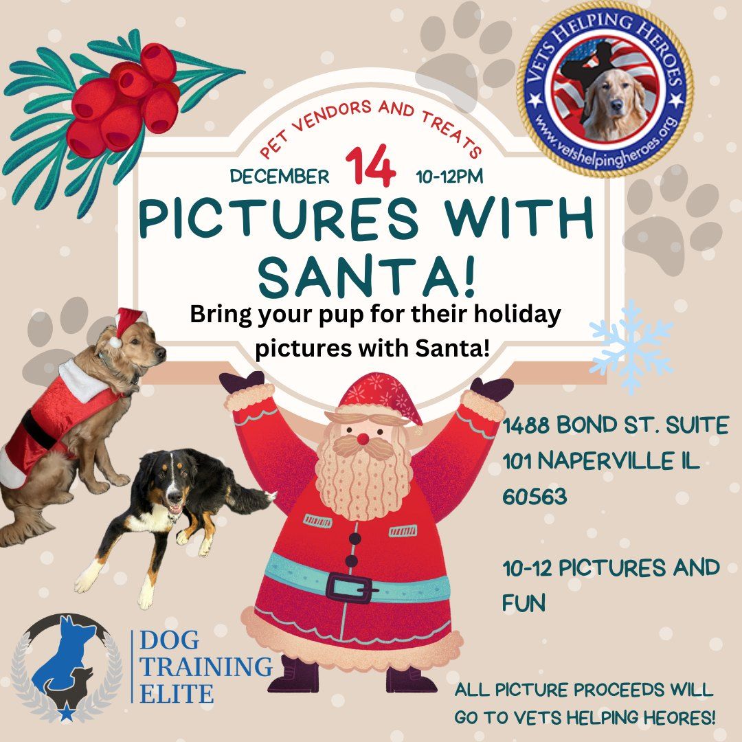 Dog Training Elite Presents: Holiday Pup Pictures with Santa Fundraising Event 