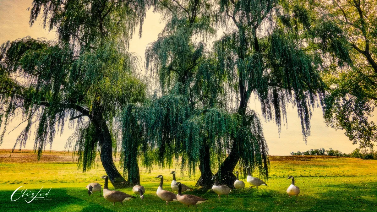 Croton Point Park 2025, A Fall Colors Upstate Photo Walk