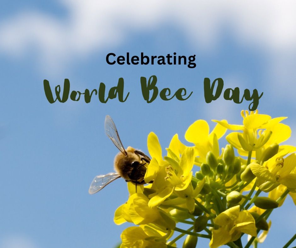 World Bee Day 2025